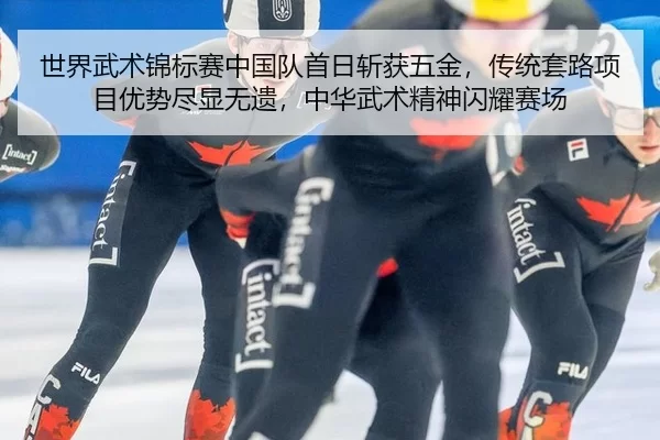 世界武术锦标赛中国队首日斩获五金，传统套路项目优势尽显无遗，中华武术精神闪耀赛场 - anbo sport